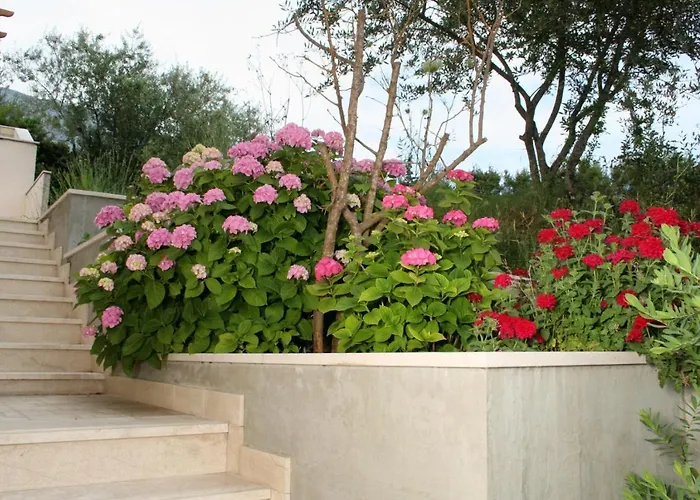 Appartamento 4565e *